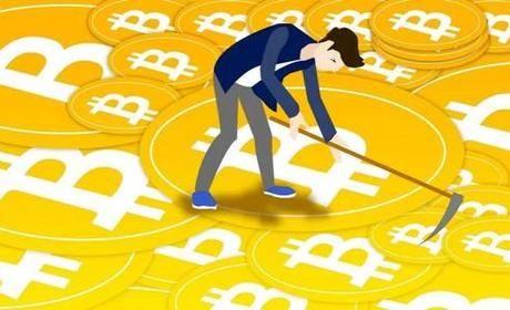币圈富豪斥资4500万买下一根香蕉水果摊老板：只值两块五